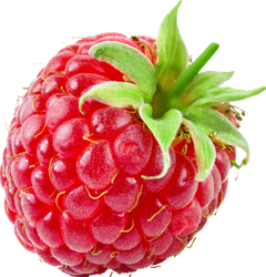 Raspberry